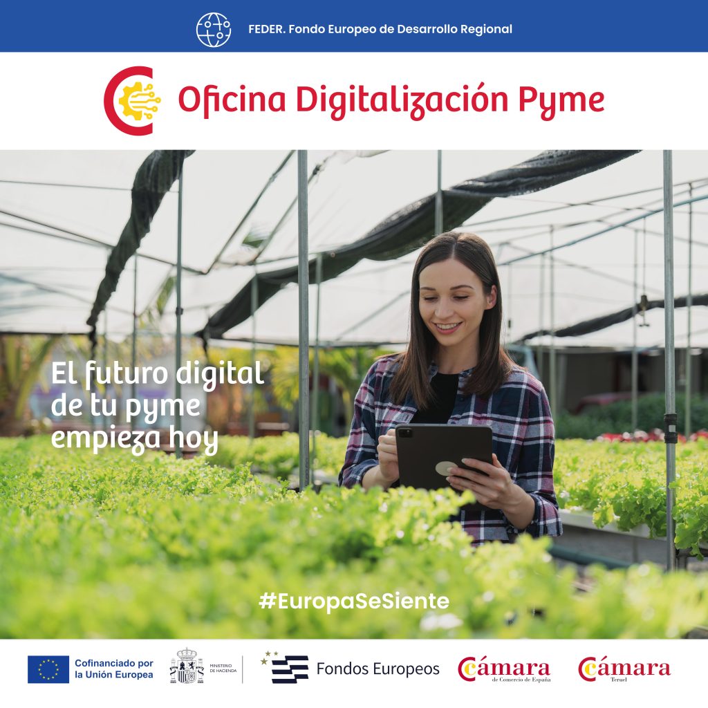 El futuro digital de tu pyme empieza hoy